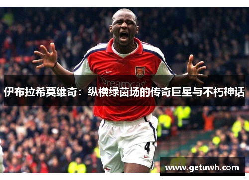 伊布拉希莫维奇：纵横绿茵场的传奇巨星与不朽神话
